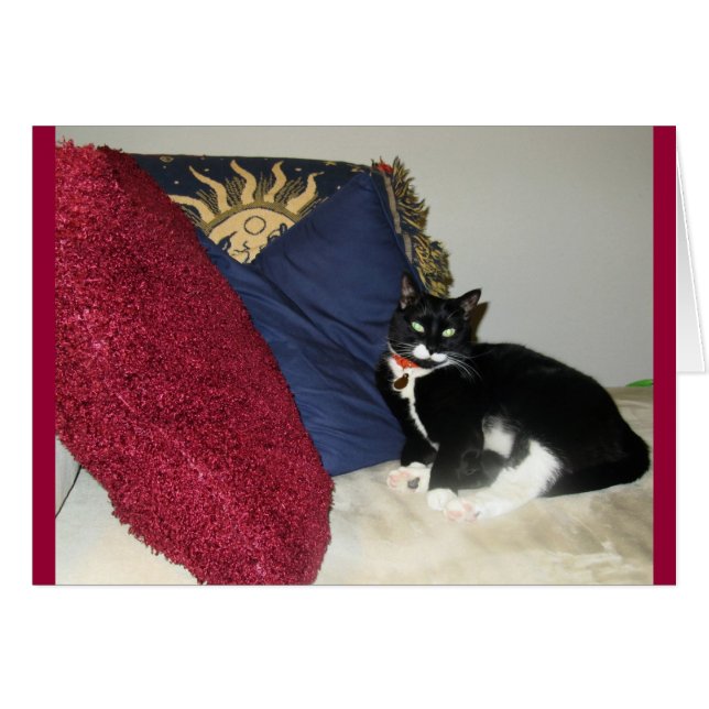 Lounge Lucy (Devant horizontal)