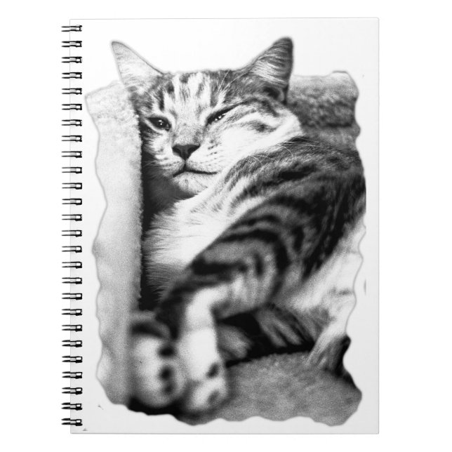 Lounge Tabby Cat Portrait Notebook (Front)