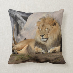 Lounging Lion Throw Pillow