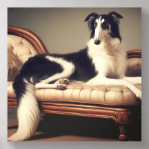 Lounging Tri Borzoi