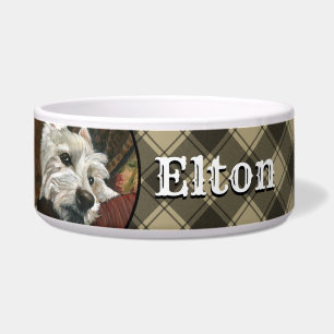 Lounging Westie on Sofa