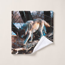 Loup