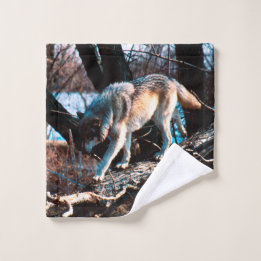 Loup