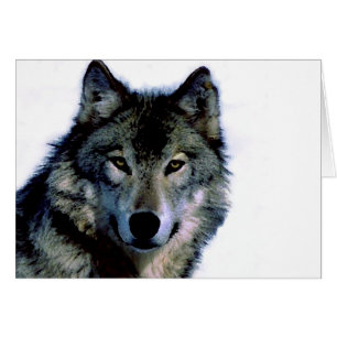 Loup