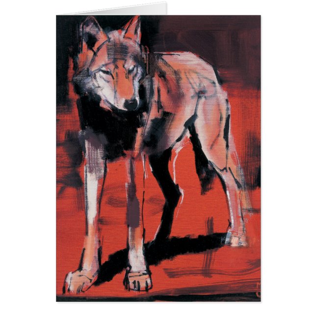 Loup 2001 d'été (Devant)