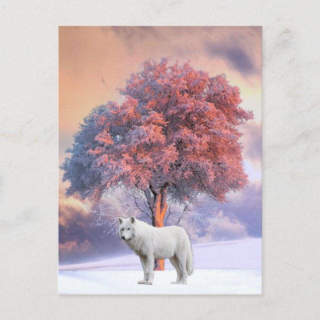 Loup blanc en hiver | Carte postale (Devant)