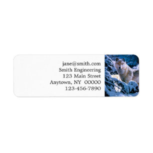 Loup dans la peinture de la forêt d'hiver