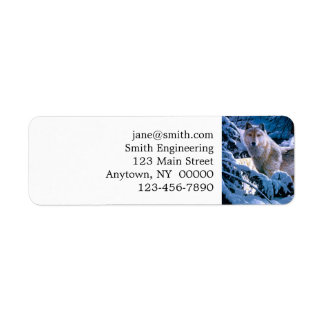 Loup dans la peinture de la forêt d'hiver