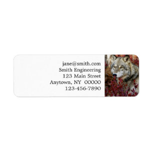 Loup dans l'affaire Foliage