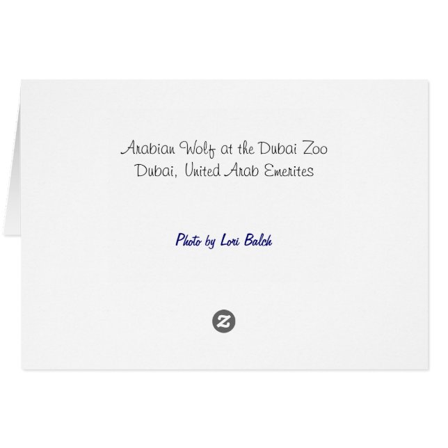 Loup d'Arabie (Dos Horizontal)