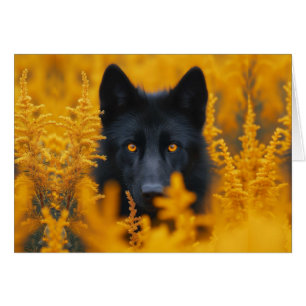 Loup de chien noir avec des yeux d'or étonnants vi