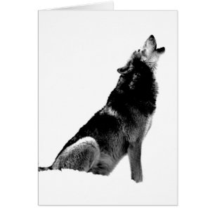 Loup de Howling blanc noir