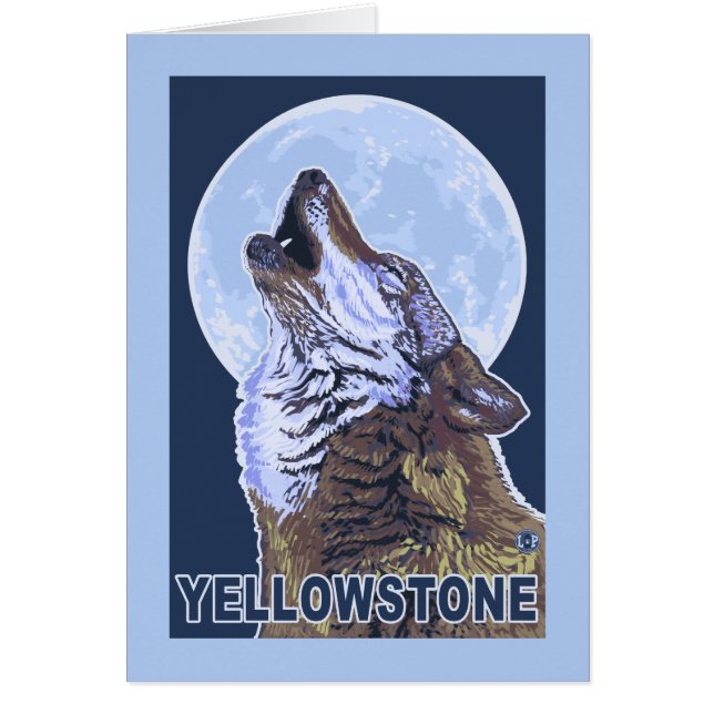 Loup de YellowstoneHowling (Devant)
