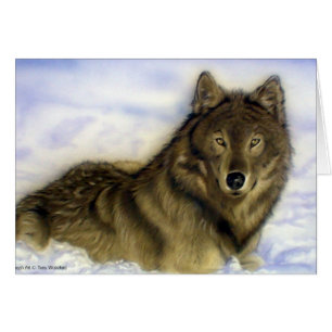 Loup d'hiver