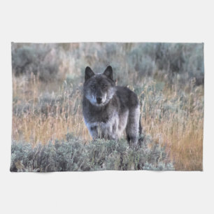 Loup gris dans la serviette de cuisine Yellowstone