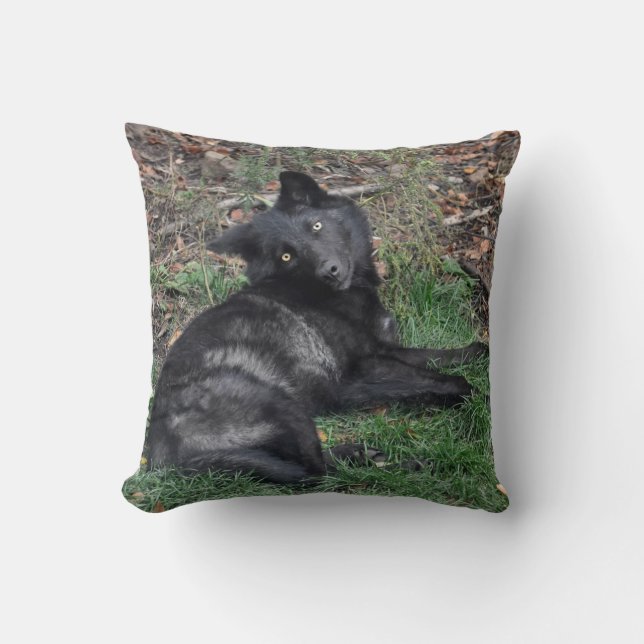 Loup gris-noir levain animal oreiller à lancer (Recto)