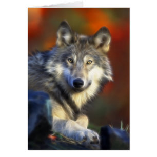 Loup gris, photo numérique d'espèce menacée