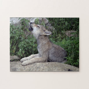 Loup gris ramasse Puzzle animal sauvage