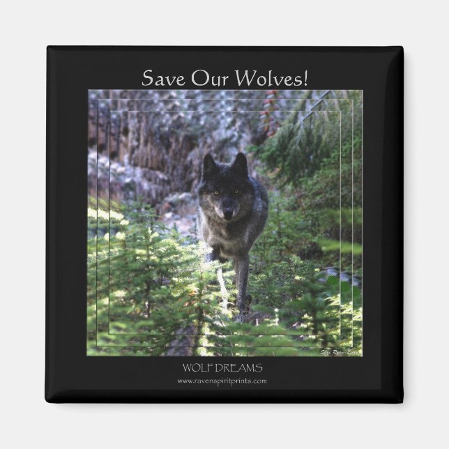 Loup Gris Sauvons Nos Loups ! Magnet (Devant)