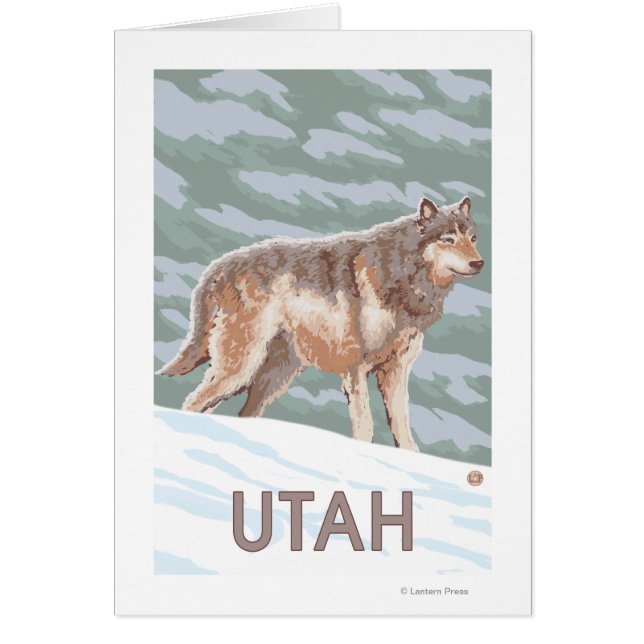 Loup gris StandingUtah (Devant)