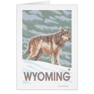 Loup gris StandingWyoming