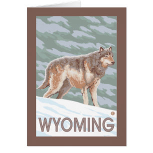 Loup gris StandingWyoming