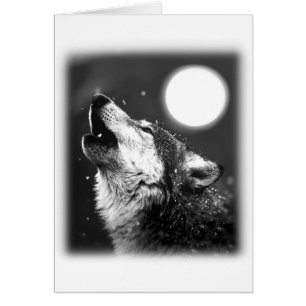 Loup hurlant à la lune