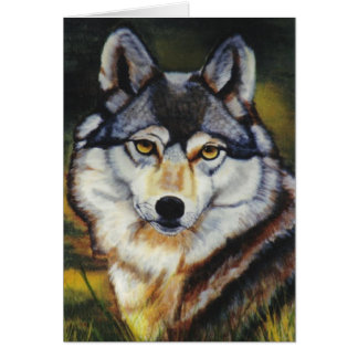 "Loup mexicain "