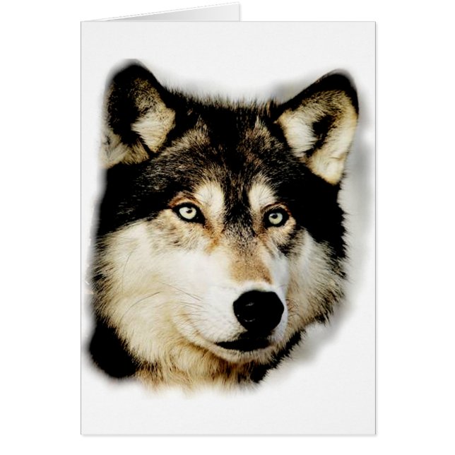 Loup motivationnel unique (Devant)