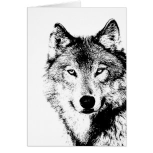 Loup noir et blanc
