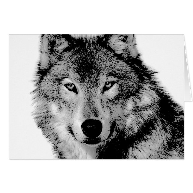 Loup noir et blanc (Devant horizontal)