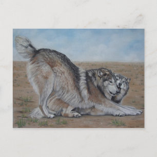 loup pittoresque faune réaliste art animal carte p