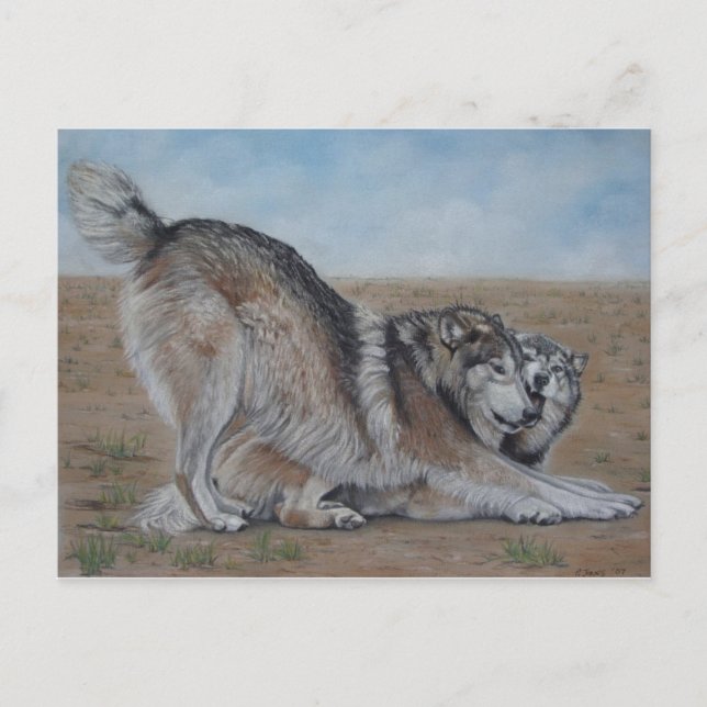 loup pittoresque faune réaliste art animal carte p (Devant)