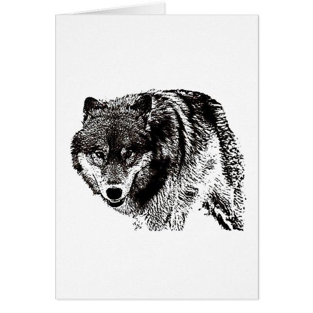 Loup sauvage (Devant)