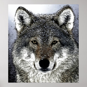 Loup sauvage dans la neige Poster Imprimer