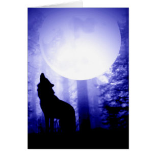 Loup seul hurlant à la lune