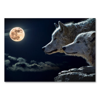 Loups blancs hurlant à la carte de table de la Ple