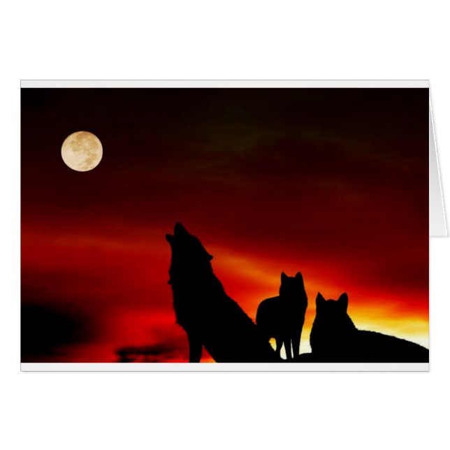 Loups couchés de soleil (Devant horizontal)