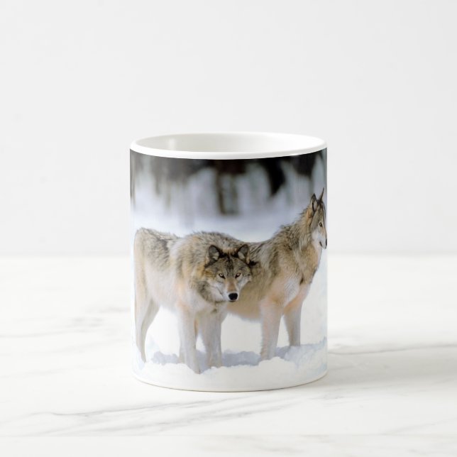 LOUPS DANS LA TASSE D'HIVER (Centre)