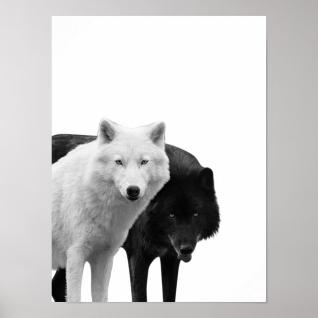 Loups Noir Blanc  Cabane Rustique Photo Affiche (Devant)