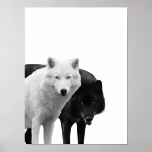 Canvas tête de Loup brun – Loups-Anges