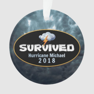 L'ouragan Michael