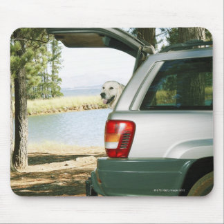 Lourensford, Somerset West, South Africa Mouse Pad
