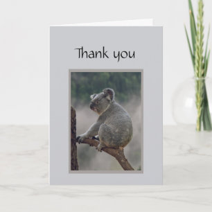 L'ours de koala d'amusement de Merci sortent sur