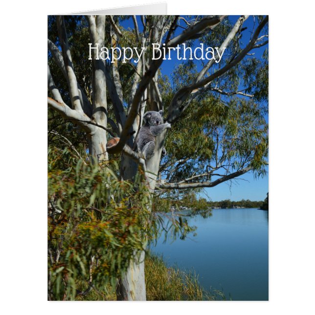L'Ours De Koala Dormant Dans Un Arbre De Gomme, Gr (Devant)