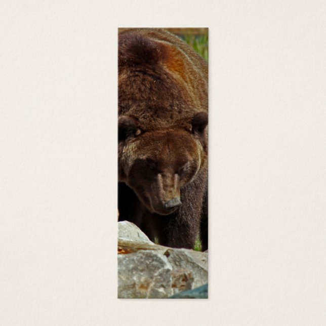 L'ours d'un Signet (Devant)