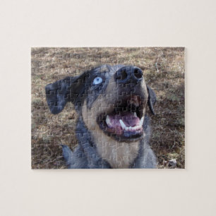 Lousiana Catahoula Leopard Dog Jigsaw Puzzle
