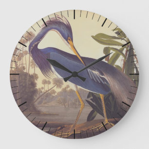 Lousiana Heron in Grey, Green, and Blue by Audubon Large Clock