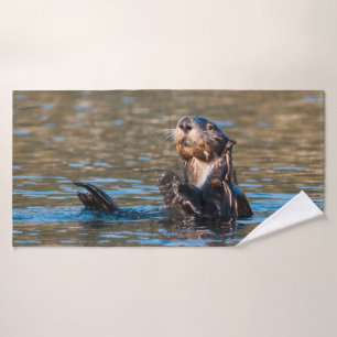Loutre de mer ensoleillée