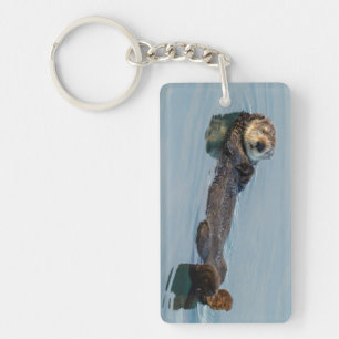Loutre de mer flottant sur le dos dans l'océan